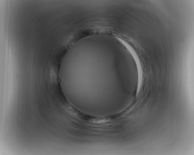 X0000115560661200911131628