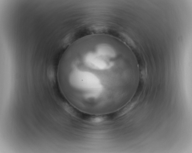 X0000115560662200911131628