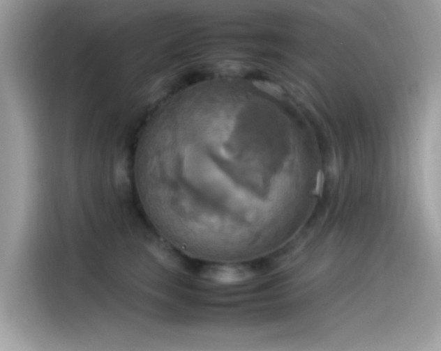 X0000115560663200911131628