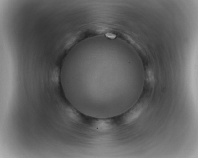 X0000115560664200911131628