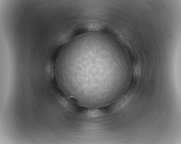 X0000115560666200911131628