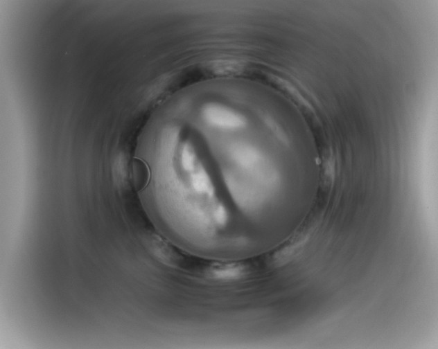 X0000115560667200911131628