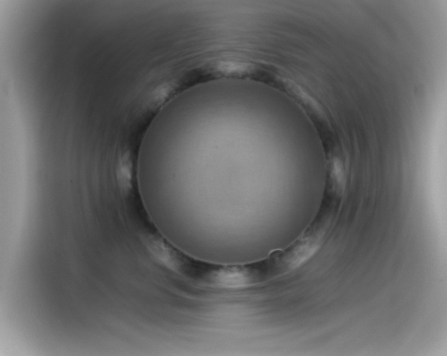 X0000115560668200911131628