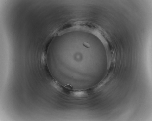 X0000115560669200911131628