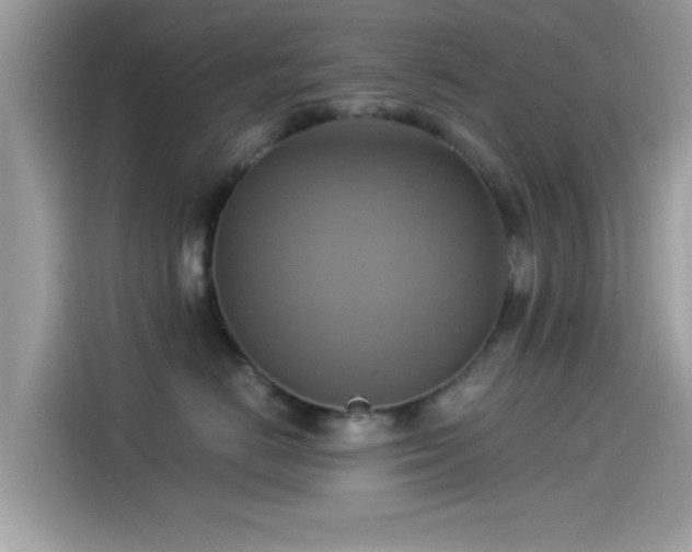 X0000115560670200911131628