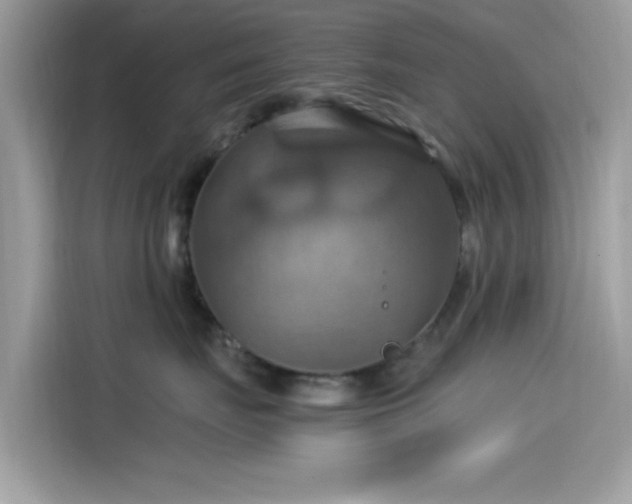X0000115560671200911131628