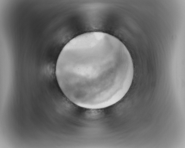 X0000115560672200911131628