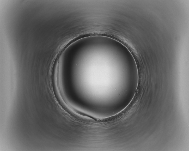 X0000115560673200911131627