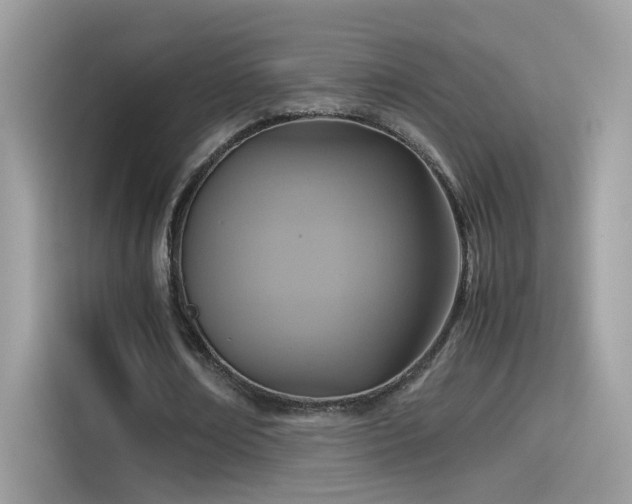 X0000115560674200911131627
