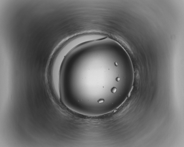X0000115560676200911131627