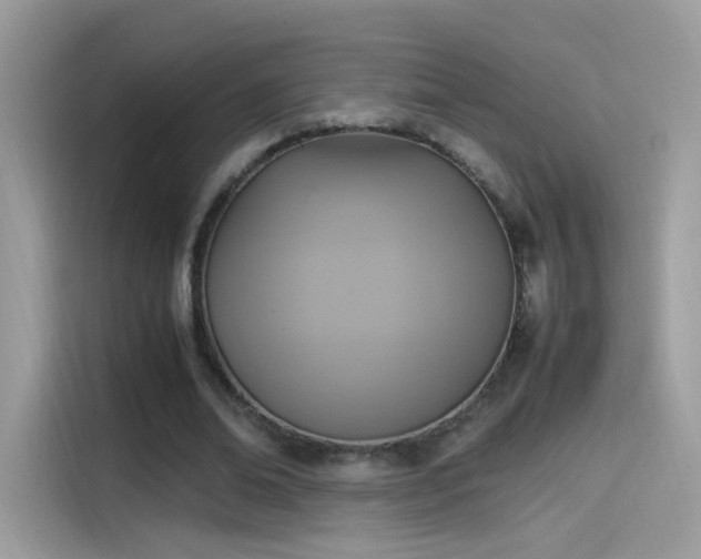 X0000115560678200911131627