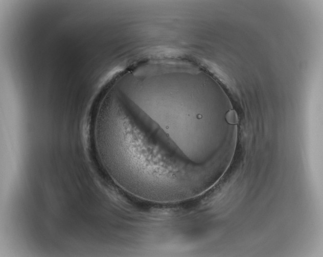 X0000115560679200911131627