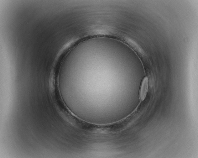 X0000115560680200911131627