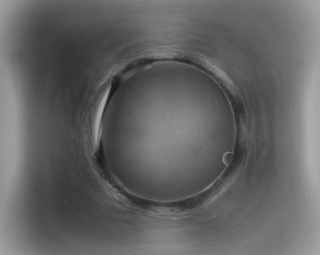 X0000115560681200911131627