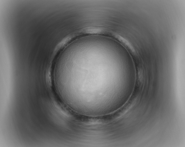 X0000115560682200911131627