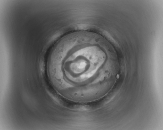 X0000115560683200911131627