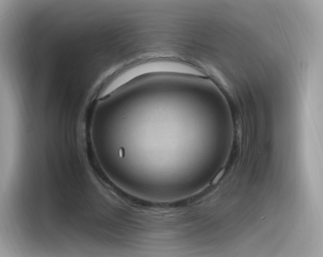 X0000115560684200911131627
