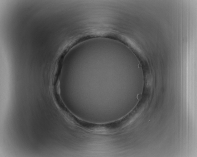X0000115560685200911131627