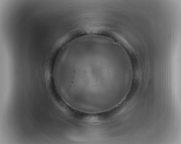 X0000115560687200911131627
