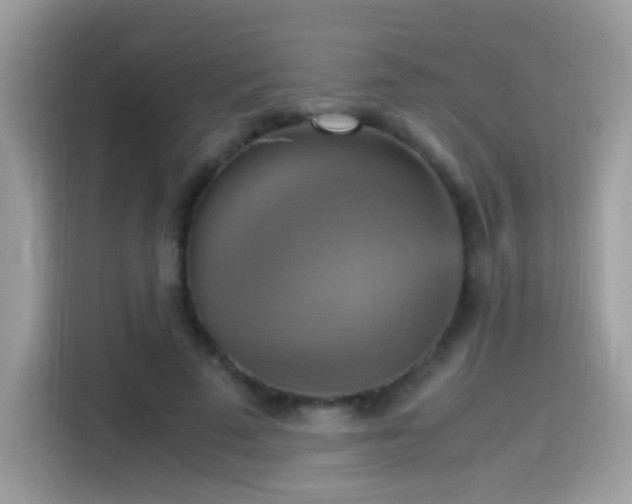 X0000115560689200911131627