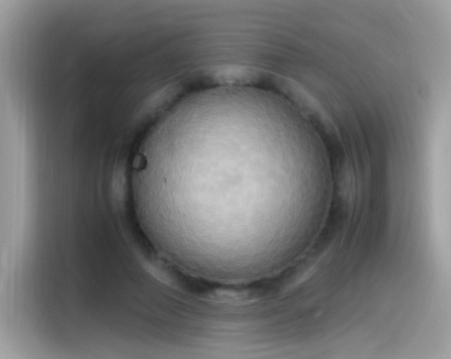 X0000115560690200911131627