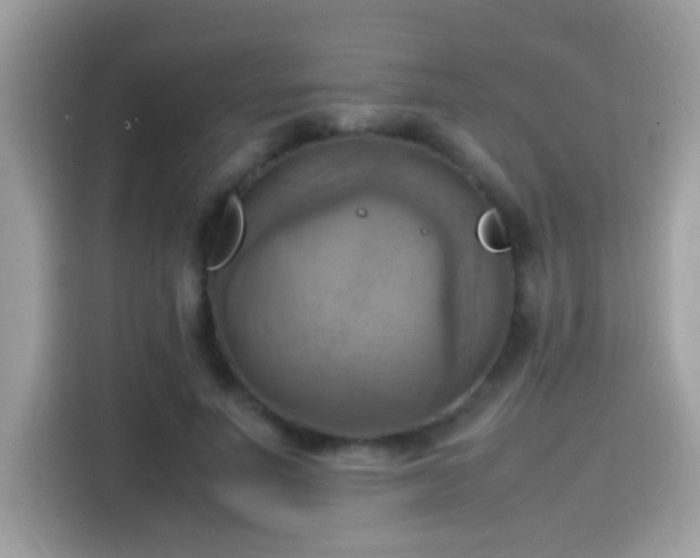 X0000115560691200911131627