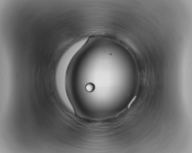 X0000115560692200911131627