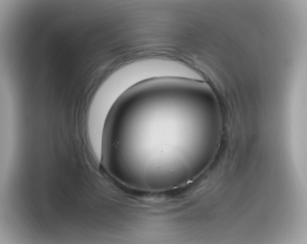 X0000115560693200911131627