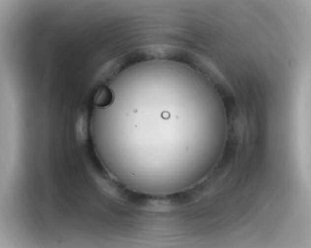 X0000115560694200911131627