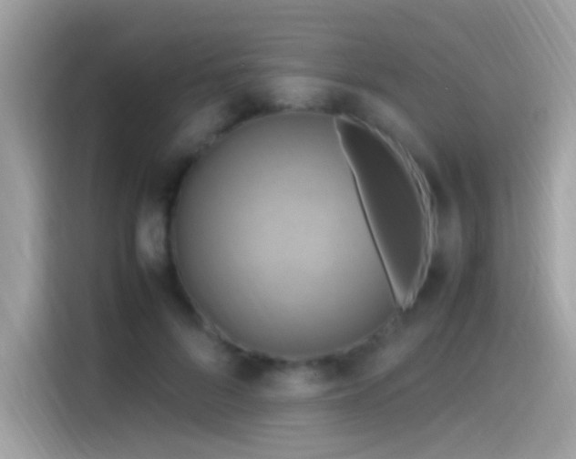 X0000115560696200911131627