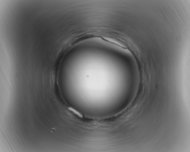 X0000115560697200911131627
