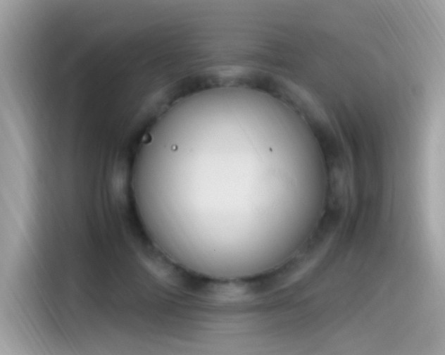 X0000115560698200911131627