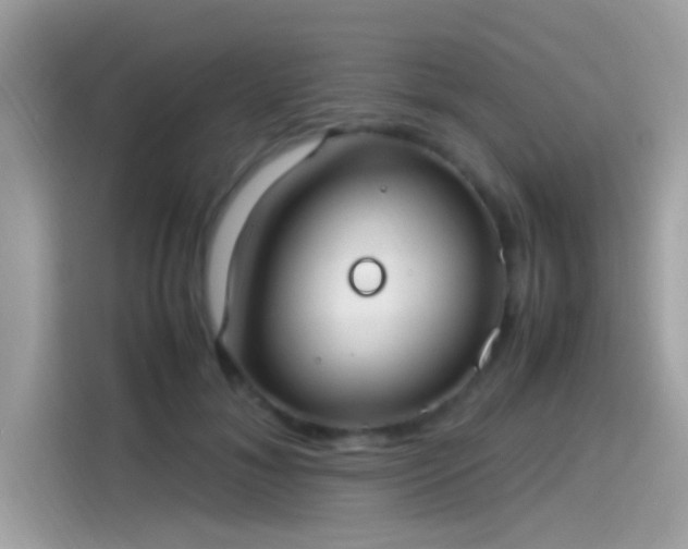 X0000115560700200911131627