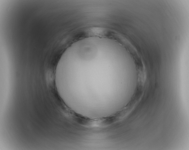 X0000115560701200911131627