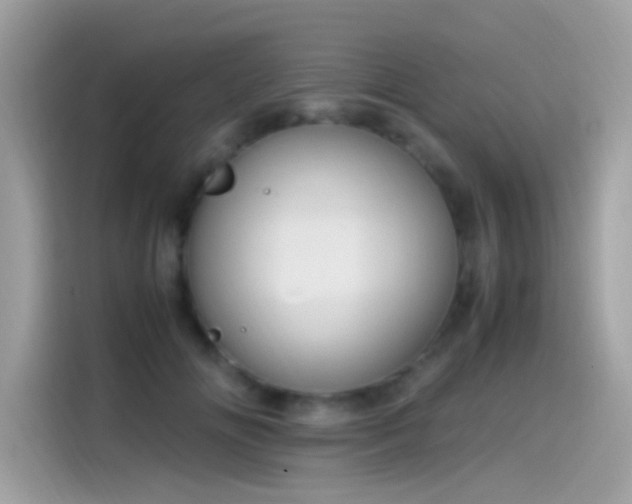 X0000115560702200911131627