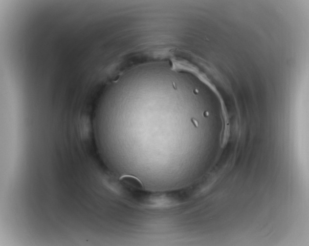 X0000115560704200911131627