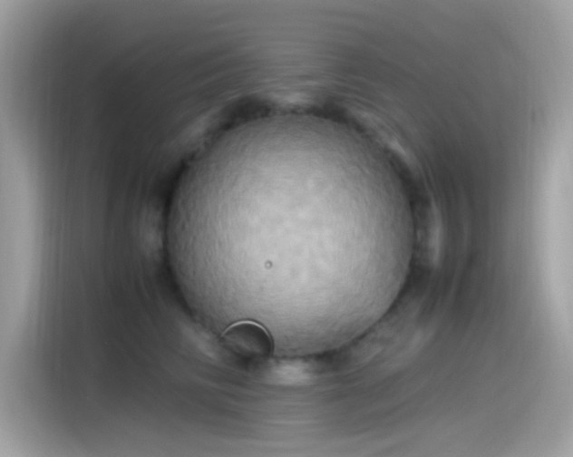 X0000115560710200911131627