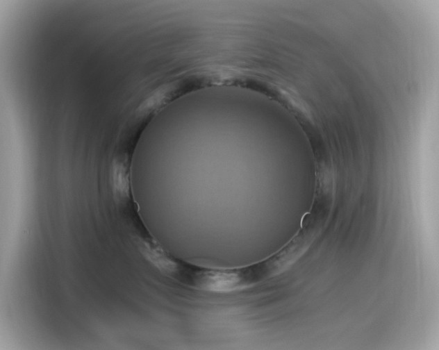 X0000115560719200911131627