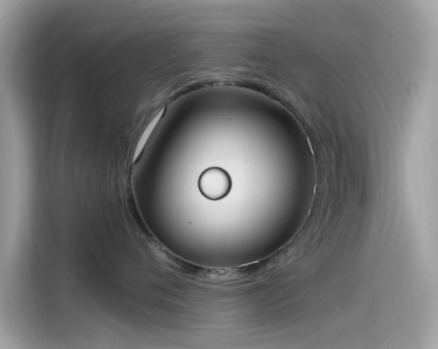 X0000115560720200911131627