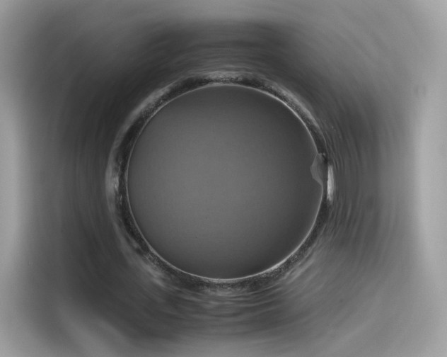 X0000115560723200911131626
