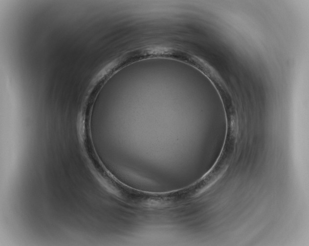 X0000115560725200911131626