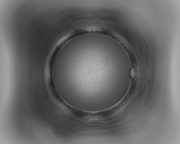 X0000115560727200911131626