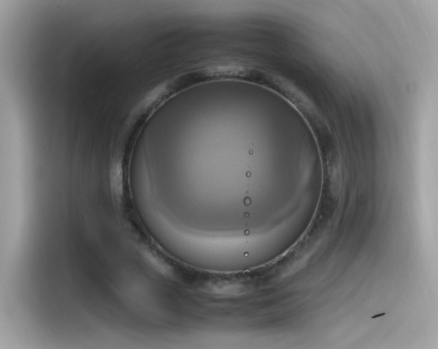 X0000115560729200911131626