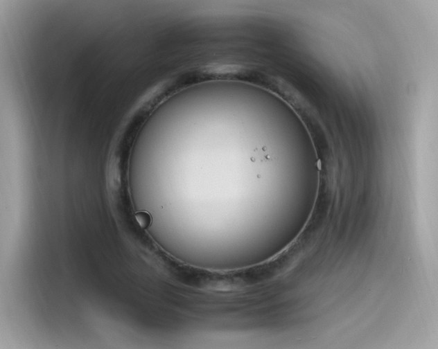 X0000115560731200911131626