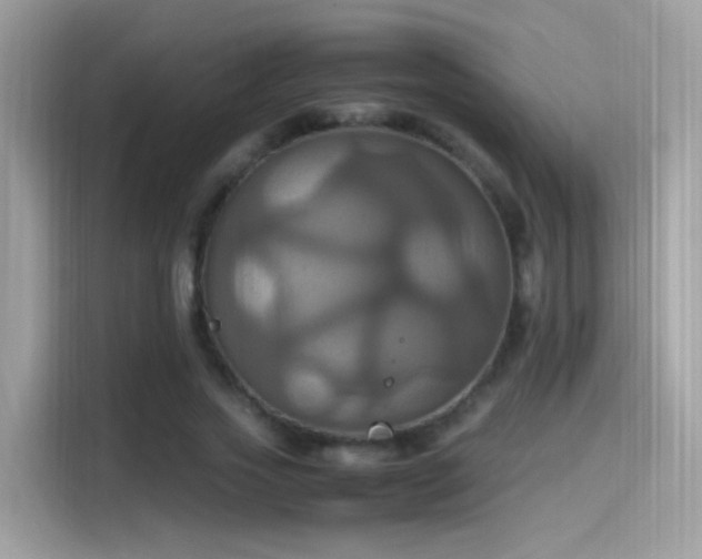 X0000115560733200911131626