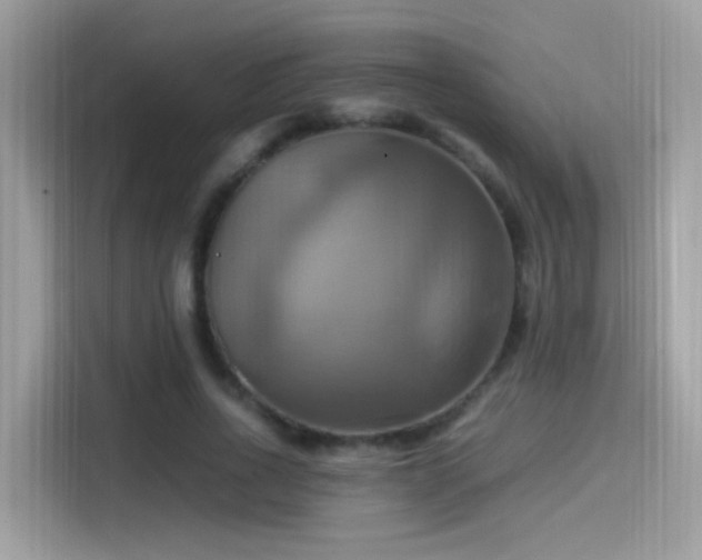X0000115560734200911131626