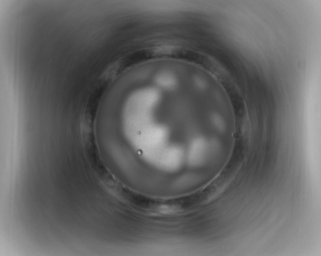 X0000115560737200911131626