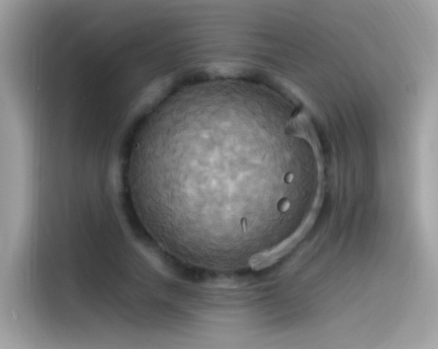 X0000115560738200911131626