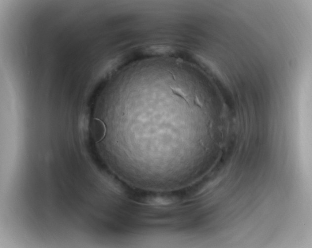 X0000115560739200911131626