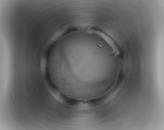 X0000115560742200911131626
